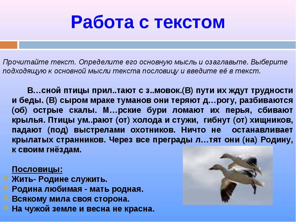 Определите основную мысль текста многое умеют птицы. Определение основной мысли текста. Основная мысль текста определение. Примеры основной мысли текста. Что такое тема текста и основная мысль текста.